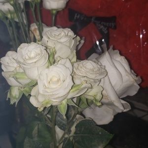 Meet your Posher, Sharna